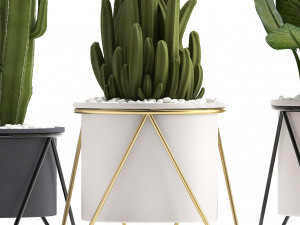 collection of ornamental plants 3D Model