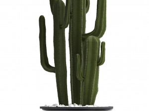 collection of ornamental plants 3D Model