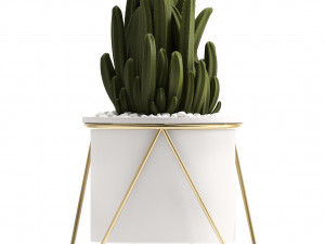 collection of ornamental plants 3D Model