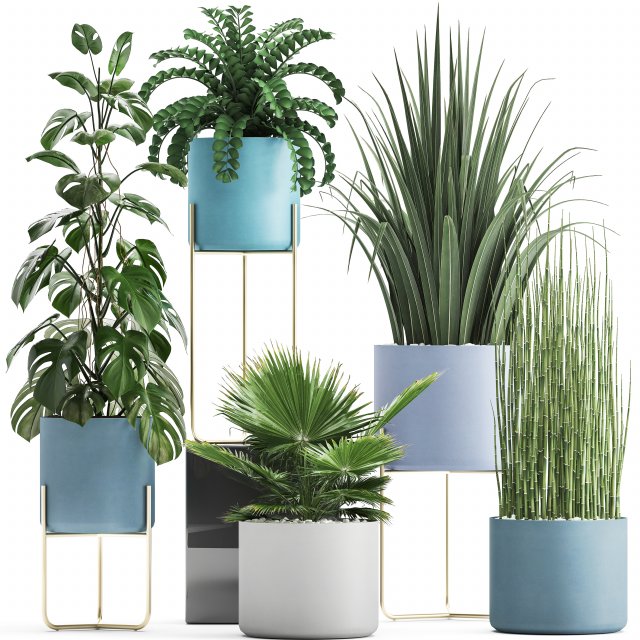 collection of ornamental plants 3Dモデル .c4d .max .obj .3ds .fbx .stl .blend 