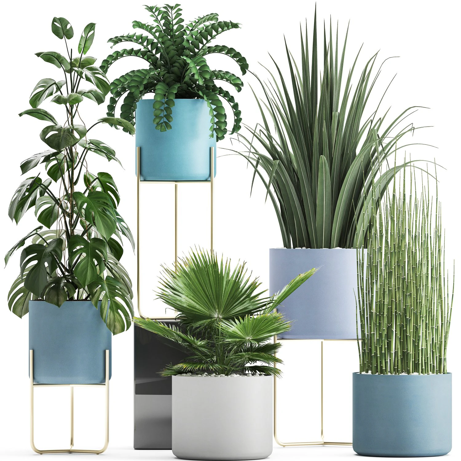 collection of ornamental plants 3D Model .c4d .max .obj .3ds .fbx .stl .blend 
