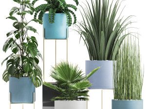 collection of ornamental plants Modelo 3D