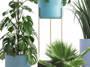 collection of ornamental plants 3Dモデル
