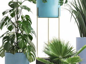 collection of ornamental plants 3D Model