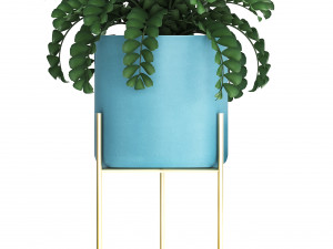 collection of ornamental plants 3Dモデル