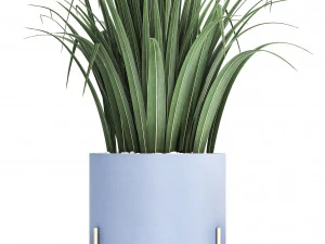 collection of ornamental plants 3D Model