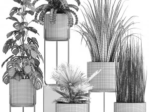 collection of ornamental plants 3D Model