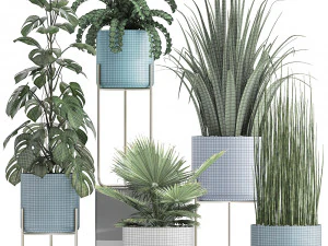 collection of ornamental plants 3D Model