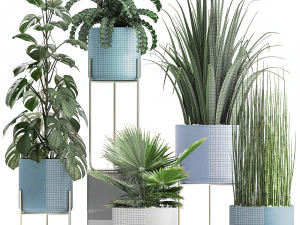 collection of ornamental plants 3D Model