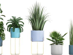collection of ornamental plants 3D Model