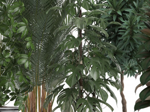 collection of exotic plants 3D Model