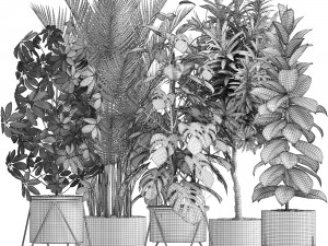 collection of exotic plants 3D Model