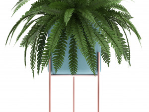 collection of exotic plants Model 3D