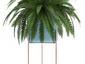 collection of exotic plants 3D Model