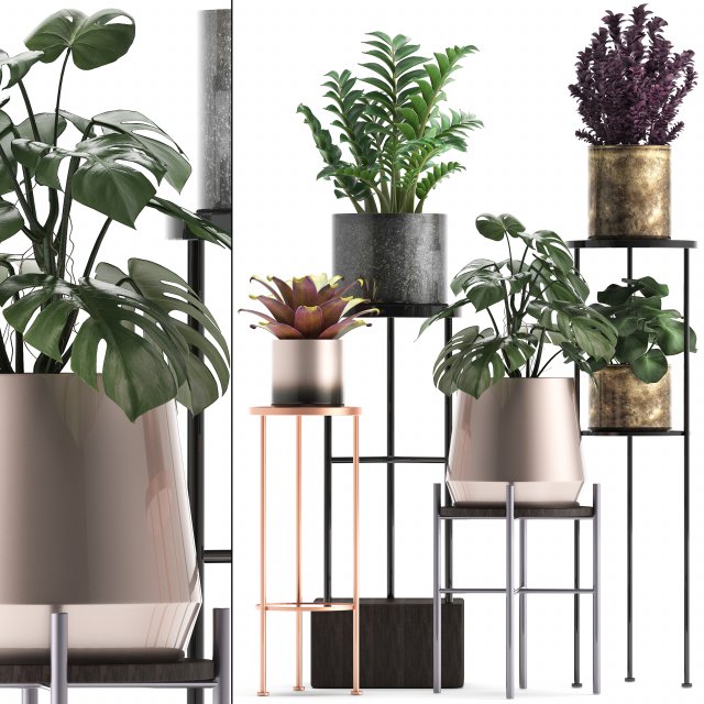 collection of exotic plants 3Dモデル .c4d .max .obj .3ds .fbx .stl .blend