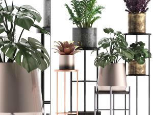 collection of exotic plants 3D Модель