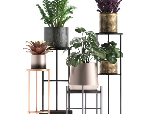 collection of exotic plants 3Dモデル