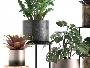 collection of exotic plants 3Dモデル