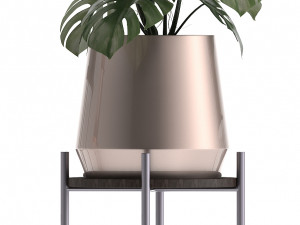 collection of exotic plants 3Dモデル