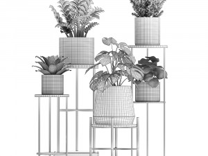 collection of exotic plants 3Dモデル