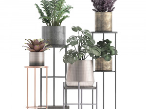collection of exotic plants 3Dモデル