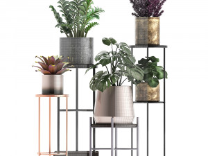 collection of exotic plants 3Dモデル