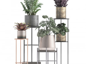 collection of exotic plants 3Dモデル