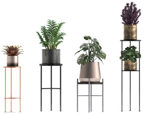 collection of exotic plants 3Dモデル