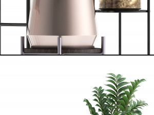 collection of exotic plants 3Dモデル