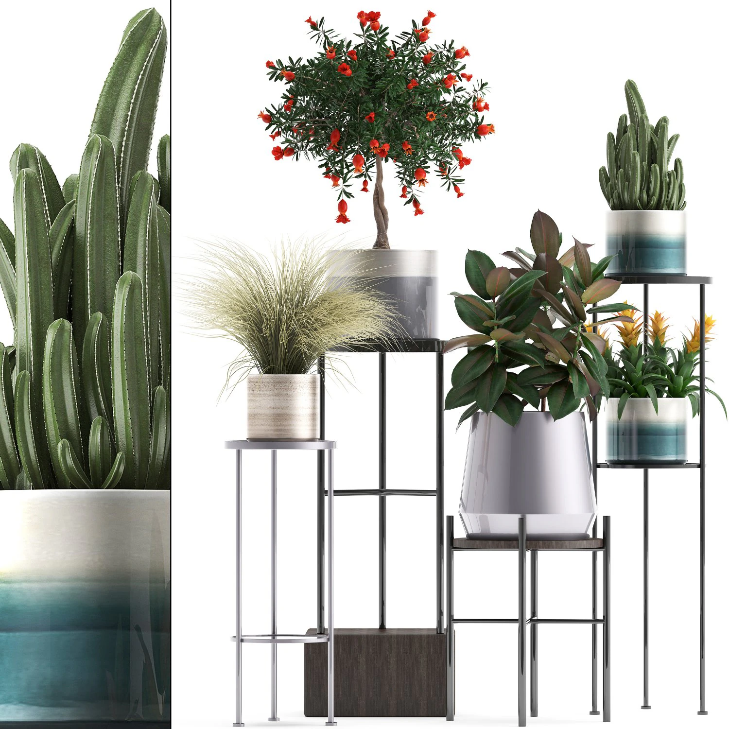 collection of potted plants 3D Model .c4d .max .obj .3ds .fbx .stl .blend