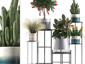 collection of potted plants Modèle 3D