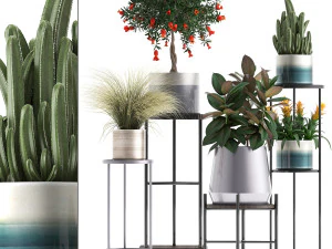 collection of potted plants 3D Model