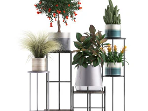collection of potted plants 3D Model