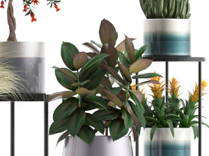 collection of potted plants 3D Model