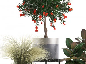 collection of potted plants 3D Model