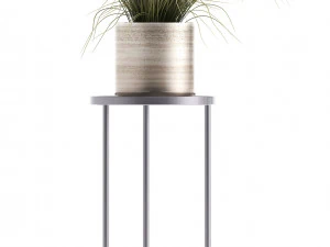 collection of potted plants 3D Model