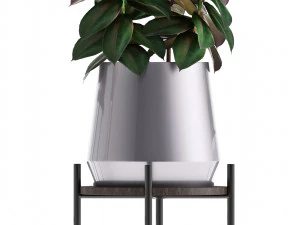 collection of potted plants 3D Model