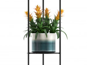 collection of potted plants 3D Model