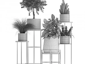 collection of potted plants 3D Model