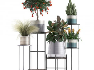 collection of potted plants 3D Model