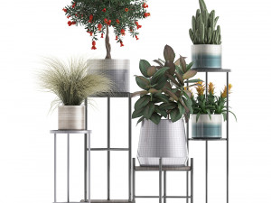 collection of potted plants 3D मॉडल