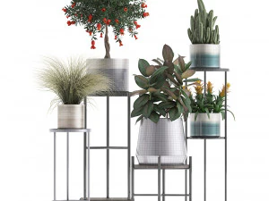 collection of potted plants 3D Model