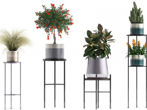 collection of potted plants 3D मॉडल