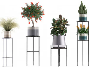 collection of potted plants 3D Model