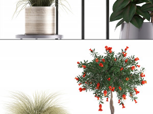 collection of potted plants 3D मॉडल