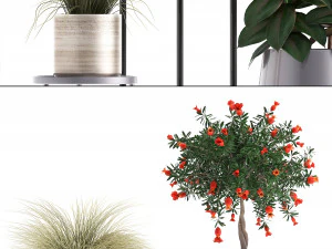 collection of potted plants 3D Model