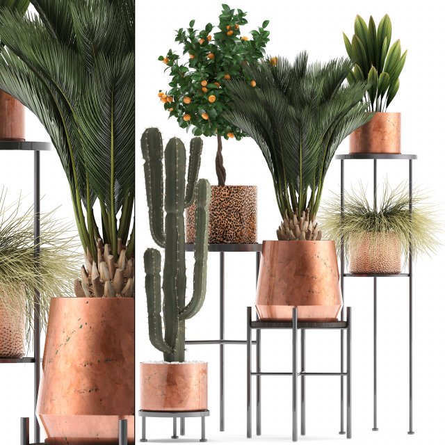 collection of potted plants copper 3Dモデル .c4d .max .obj .3ds .fbx .stl .blend 