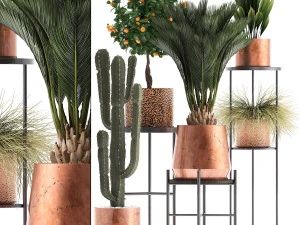 cole&ccedil;&atilde;o de vasos de plantas de cobre Modelo 3D