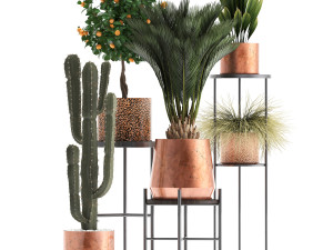 collection of potted plants copper 3Dモデル
