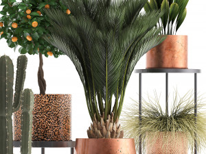 collection of potted plants copper 3Dモデル